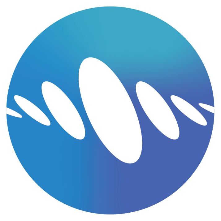 Voikit.ai logo